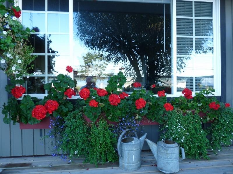 Driftwood By The Sea Inn Campbell River Exterior photo