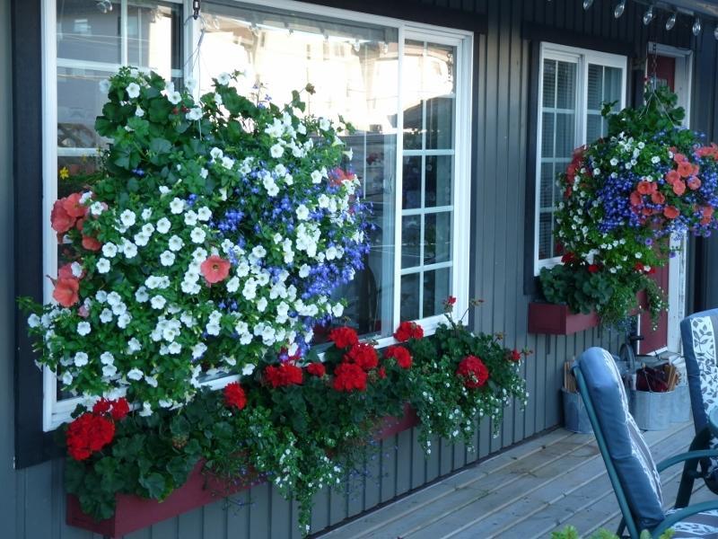 Driftwood By The Sea Inn Campbell River Exterior photo
