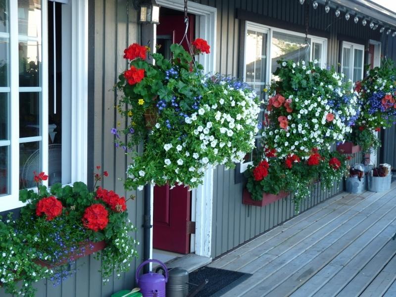 Driftwood By The Sea Inn Campbell River Exterior photo